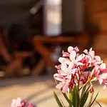 Tanja Apartmán Fažana