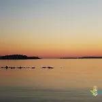 Tanja