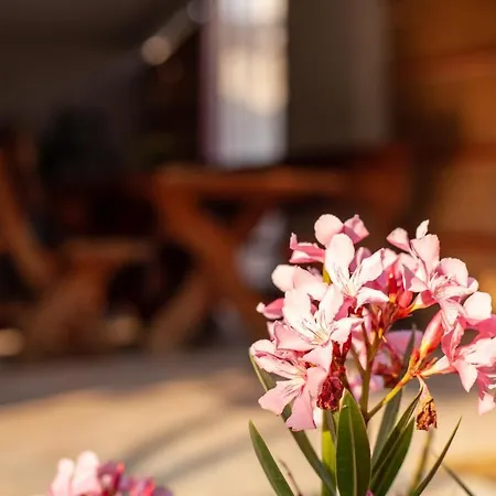 Tanja Apartamento Fažana