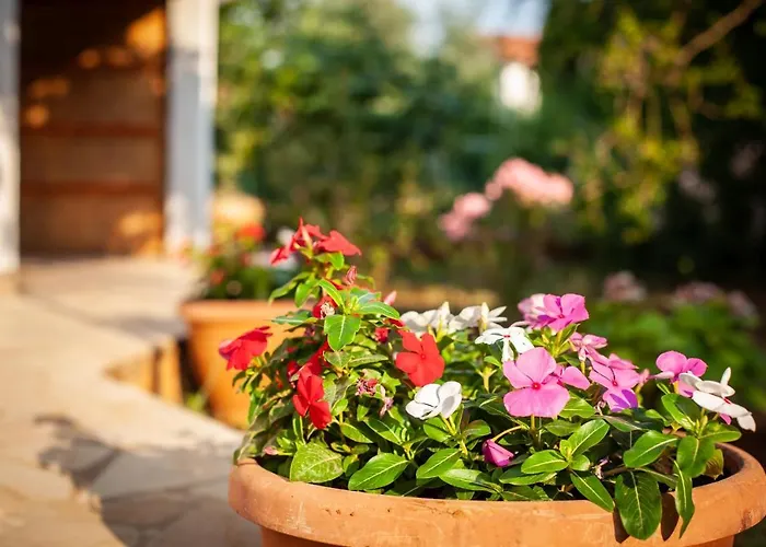 Tanja Διαμέρισμα