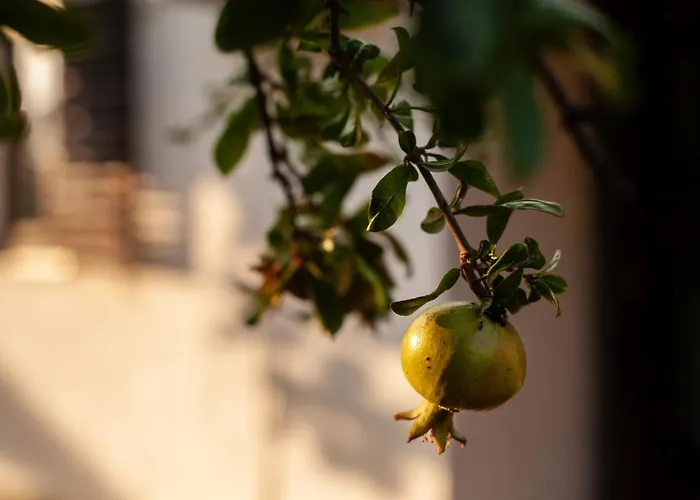 Tanja Διαμέρισμα *