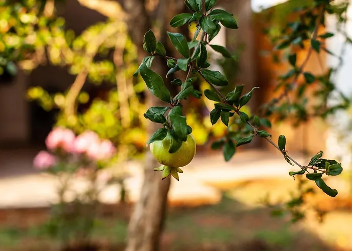 Tanja Διαμέρισμα